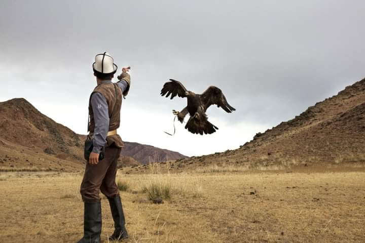 Eagle show in Kyrgyzstan
