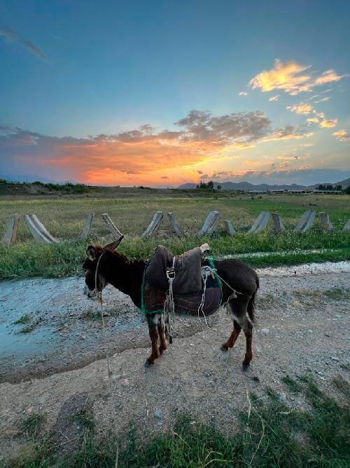 Local life of Kyrgyz