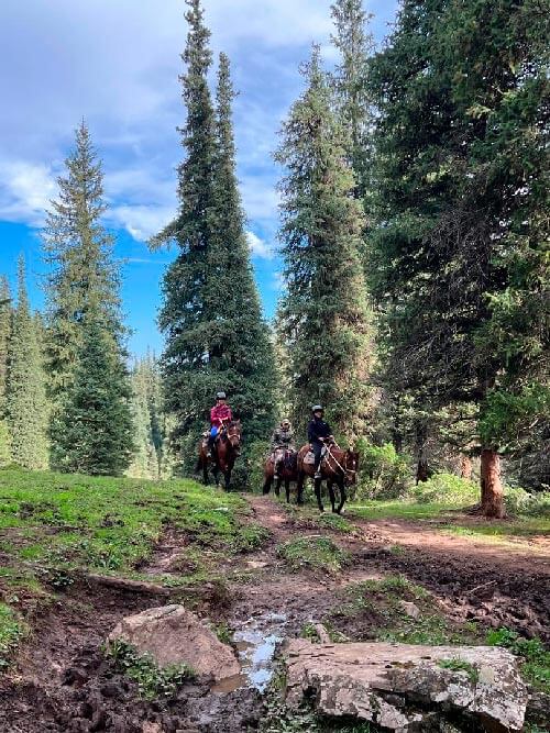 Horsbeakc riding durig 5 days trip to Kyrgyzstan